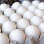 अंडी अधिक काळ टिकावी म्हणून काय करायला हवं?