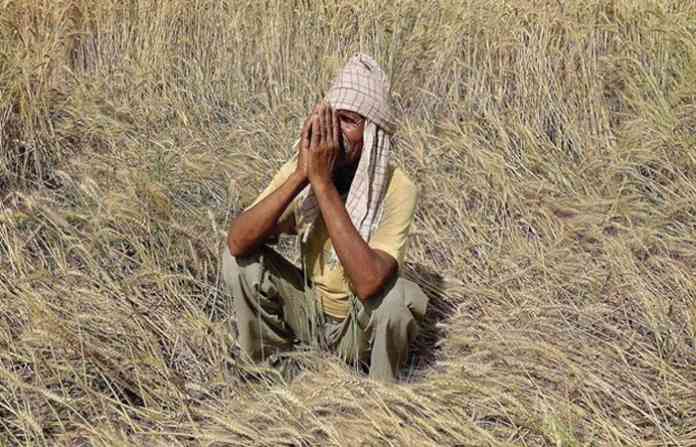 farmers-1