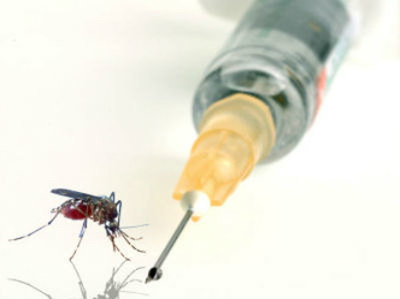new-dengue