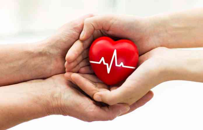 organ-donation-new