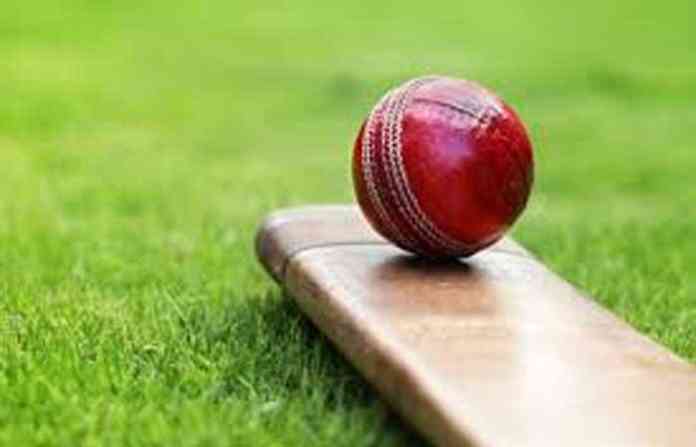 cricket-bat-ball
