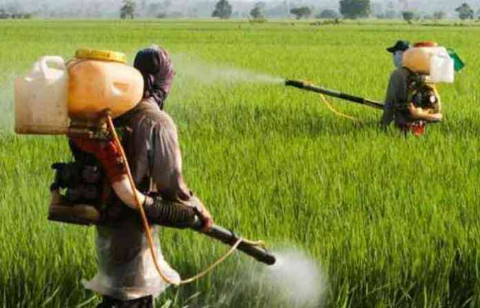 farmers-pesticide