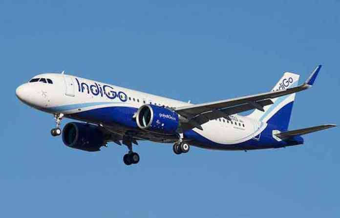 indigo-flight
