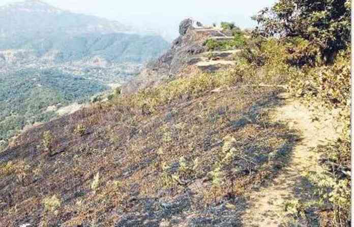 mahabaleshwar-fire