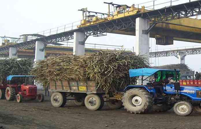 sugar-cane-factory-in-mahar
