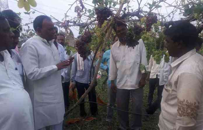 jalna-photo115