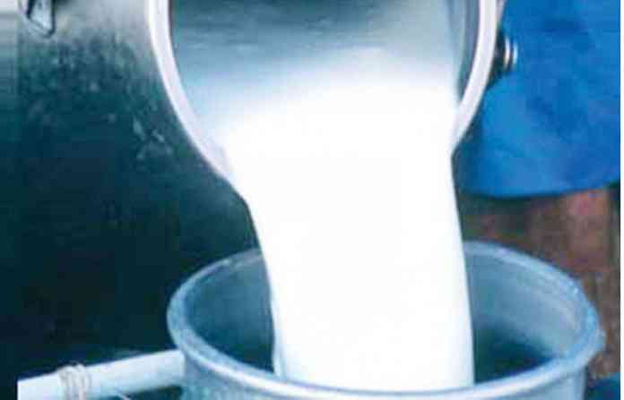 milk-11