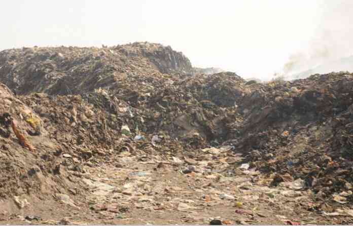 garbage-12