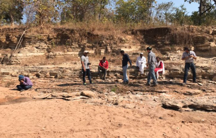 sironcha-dinosaur-fossils