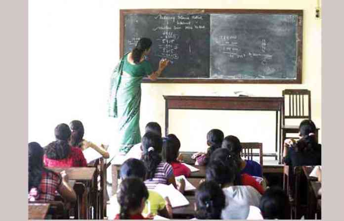 teachers