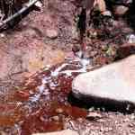 सावित्रीची खाडी आधी लाल, नंतर काळी झाली; रात्रीचा फायदा घेऊन टँकरमधून सोडले जाते रासायनिक सांडपाणी