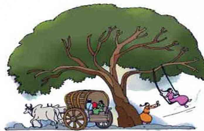 tree-akshay-trutiya