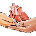 Thane news – रस्ते अपघातात ब्रेन डेड झालेल्या तरुणाने दिले 9 जणांना जीवनदान