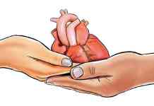 Thane news – रस्ते अपघातात ब्रेन डेड झालेल्या तरुणाने दिले 9 जणांना जीवनदान