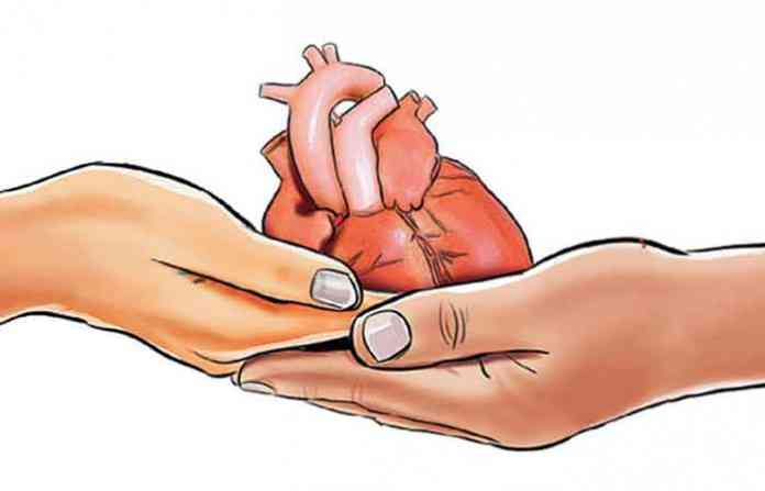 organdonation-1