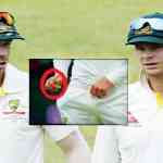 smith-and-warner