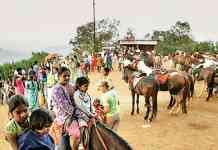 माथेरानमध्ये आज ‘घोडेबंद’ आंदोलन; अश्वपाल संघटनेचा पेव्हर ब्लॉकला विरोध
