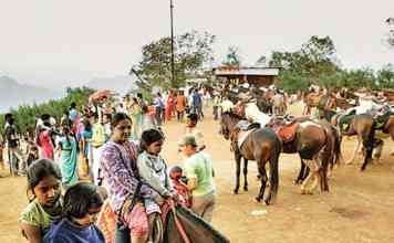 माथेरानमध्ये आज ‘घोडेबंद’ आंदोलन; अश्वपाल संघटनेचा पेव्हर ब्लॉकला विरोध
