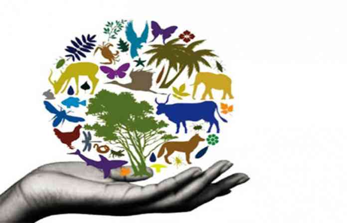 biodeversity