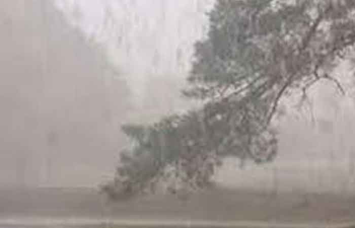 heavy-rain