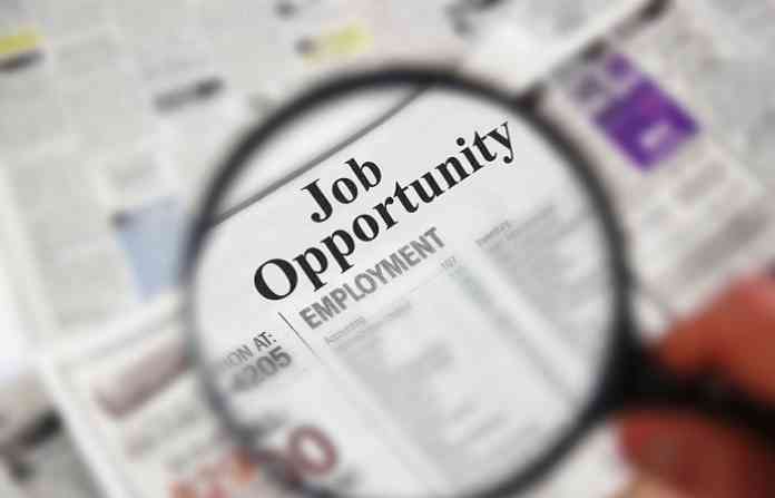 job-opportunity