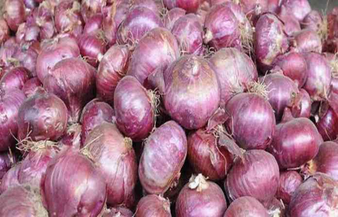 onion-11