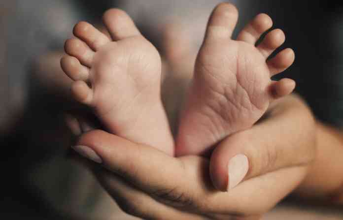 surrogacy