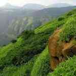 amboli-1