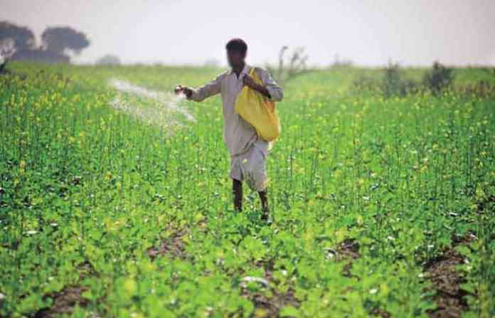 fertilizer-1