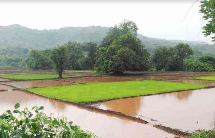 konkan