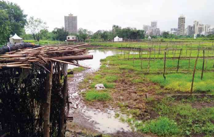 kharghar-prasad-lad-land