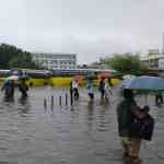 whatsapp-image-2018-07-09-at-17-08-39