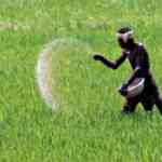 पिकांच्या आधारभूत किमतीत वाढ