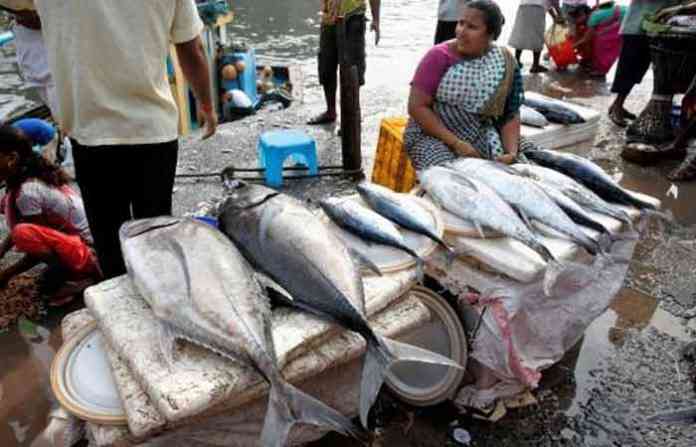 fish-markets-mumbai