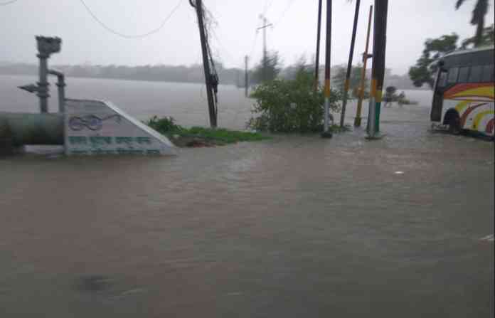 nalasopara-rain-1