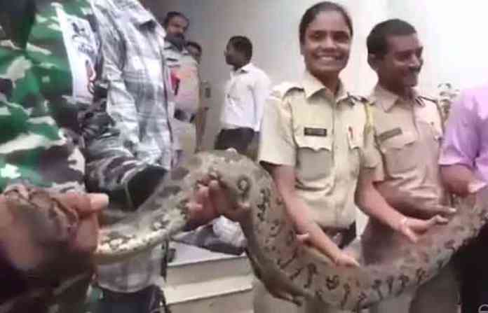 python-at-bkc