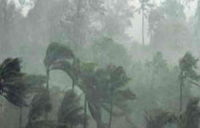 rain-malvan