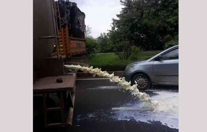 sangli-milk-protest