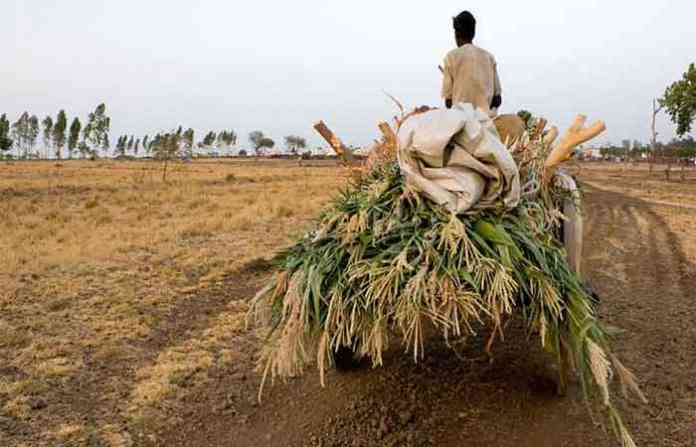 farmer-new