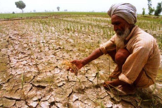 drought-farmer