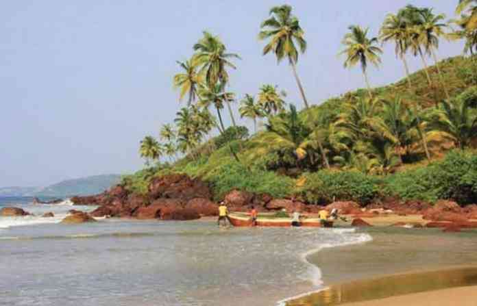 malvan-2