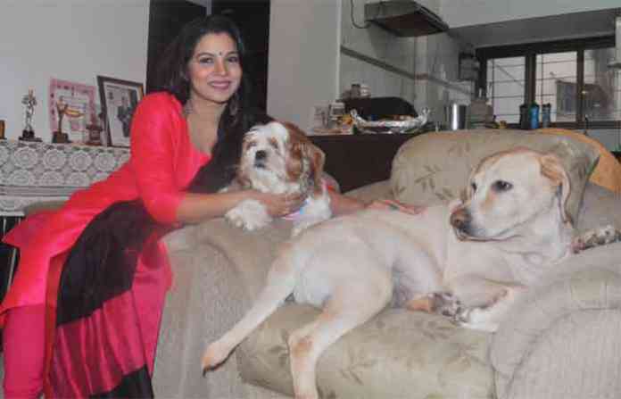 sulekha-with-pets