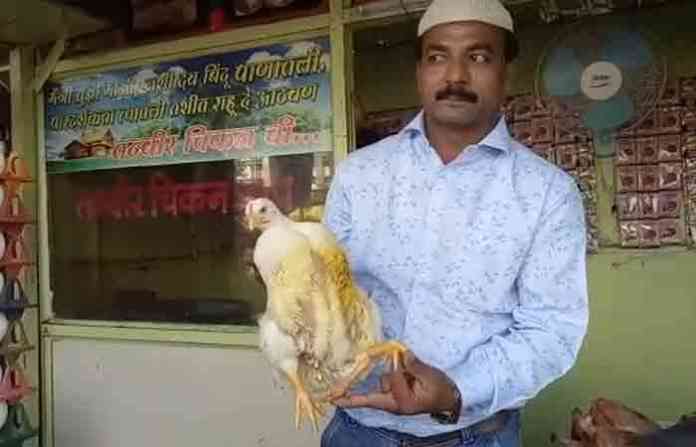 pimpri-hen