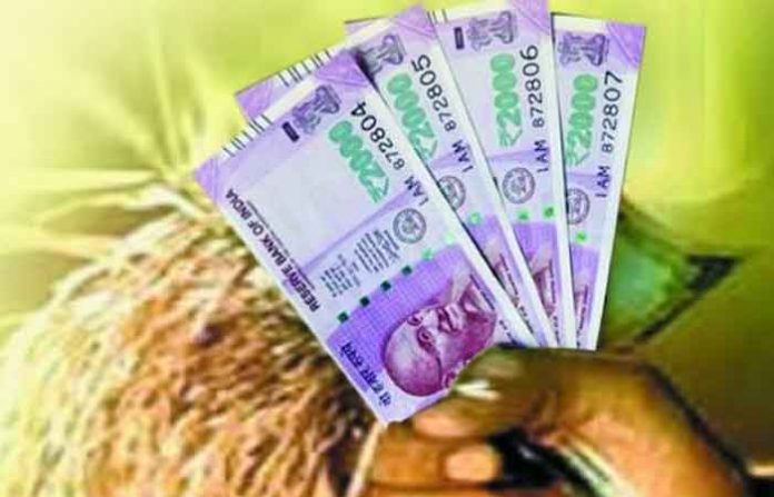 crop-loan-4
