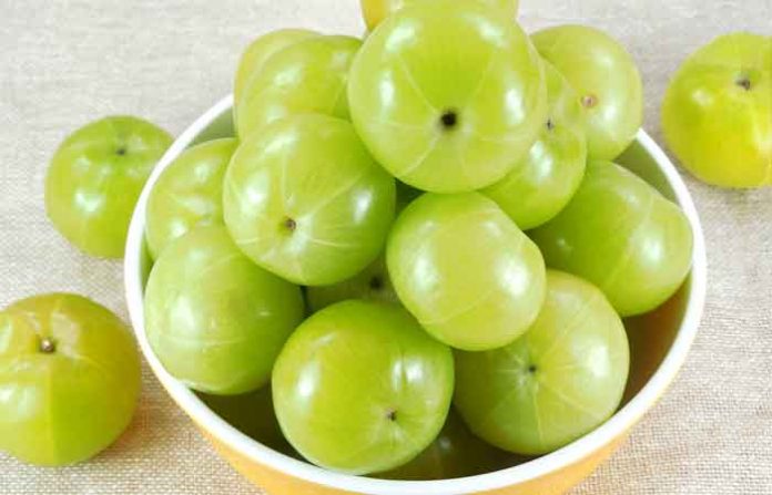gooseberry4