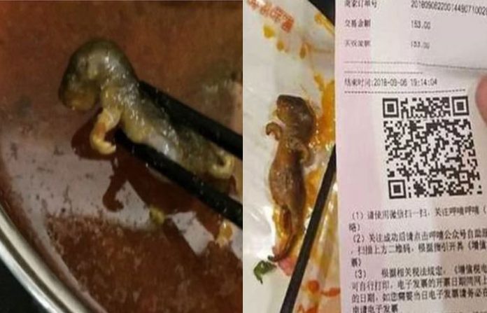 mouse-in-soup