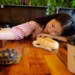 reptile-cafe