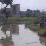 yavatmal-drown-student