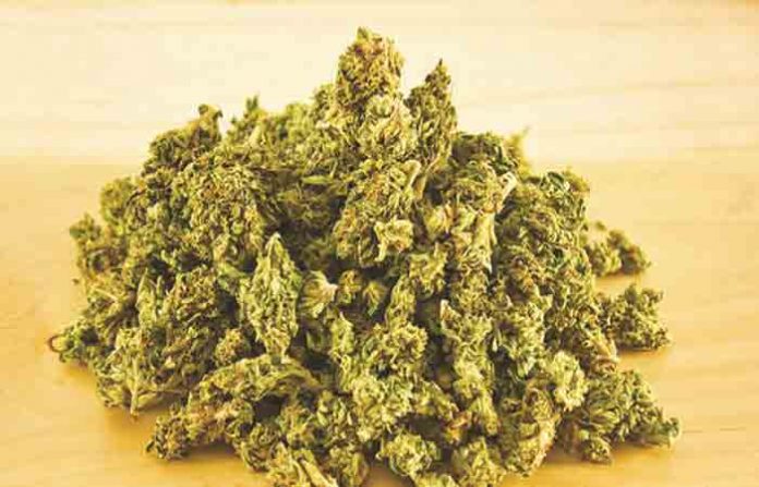 ganja-new