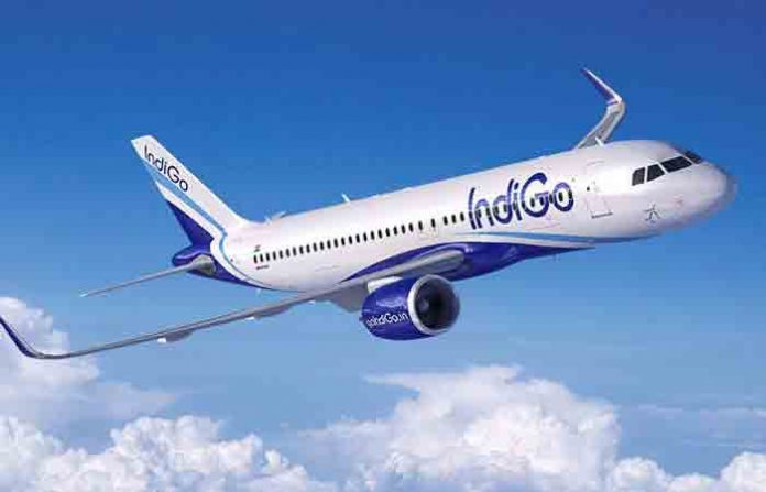 indigo-plan